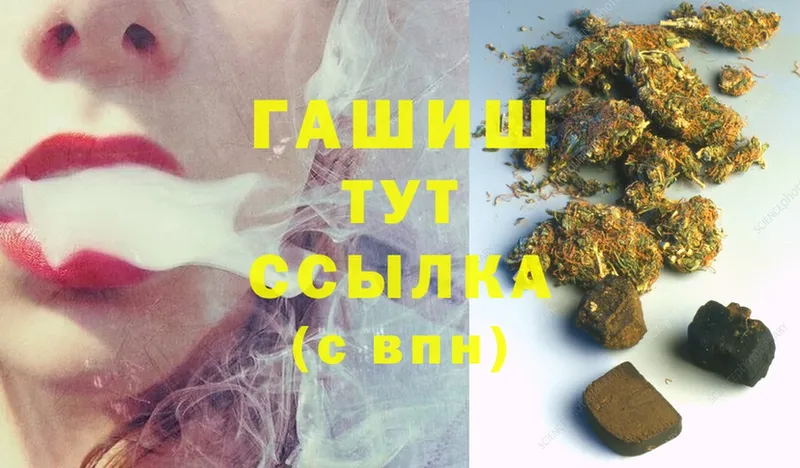 купить наркотики цена  ссылка на мегу зеркало  ГАШИШ индика сатива  Ставрополь 